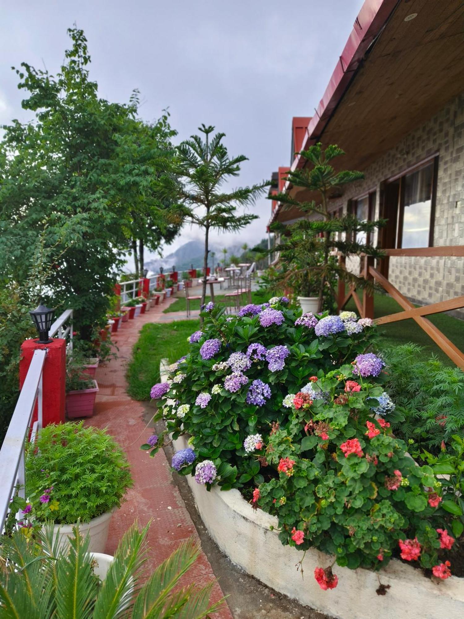 Naina Bird Cottage 奈尼塔尔 外观 照片