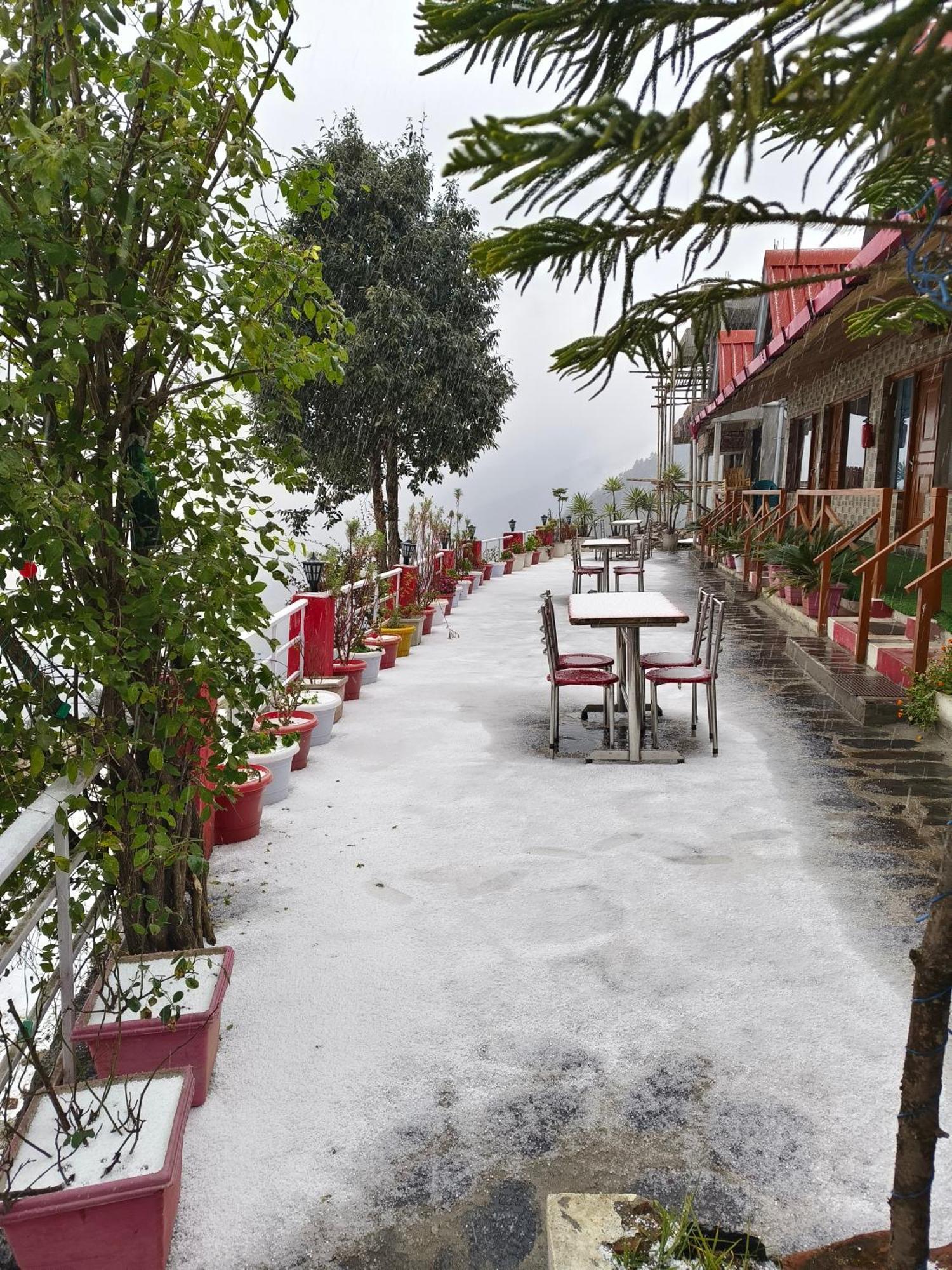 Naina Bird Cottage 奈尼塔尔 外观 照片